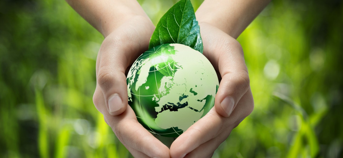 Embrace Sustainabilit Join the Go Green Movement for a Greener Future!