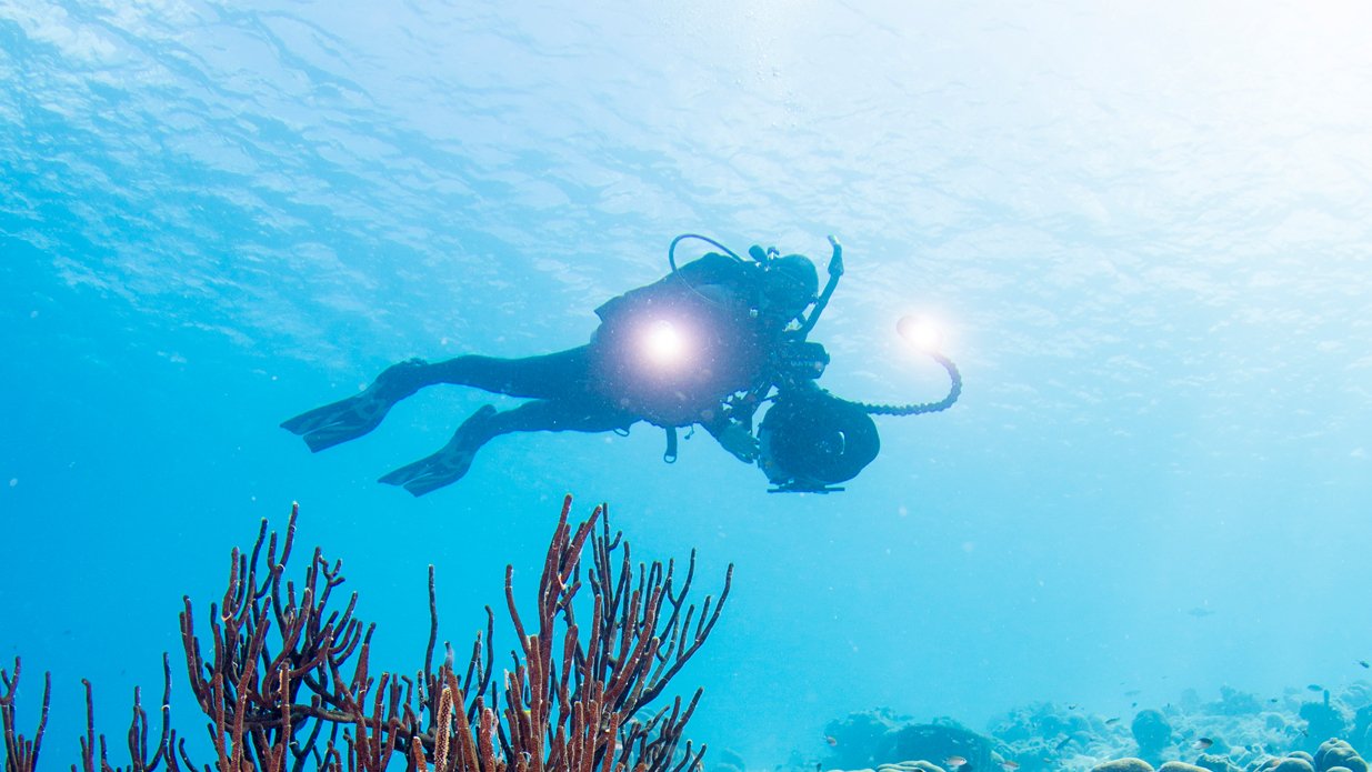Explore the hidden wonders of the ocean depths through captivating underwater photography