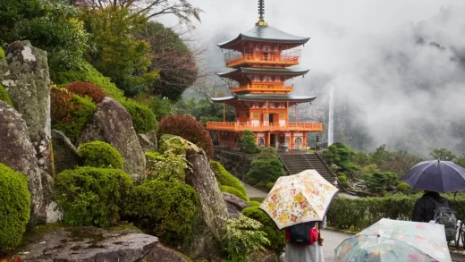 Enhancing Your Culinary Journey in Japan Travel